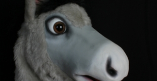 Spectacle de marionnettes interactif