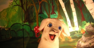 Spectacle de marionnettes interactif